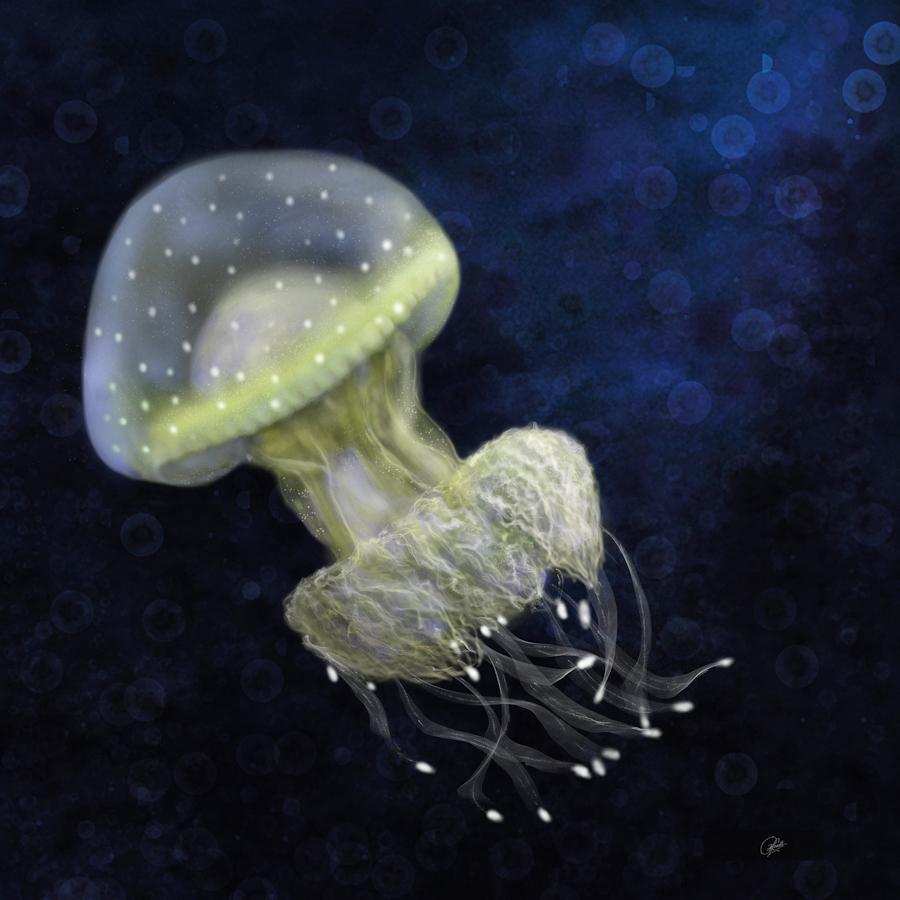 Spotted Jellyfish TN